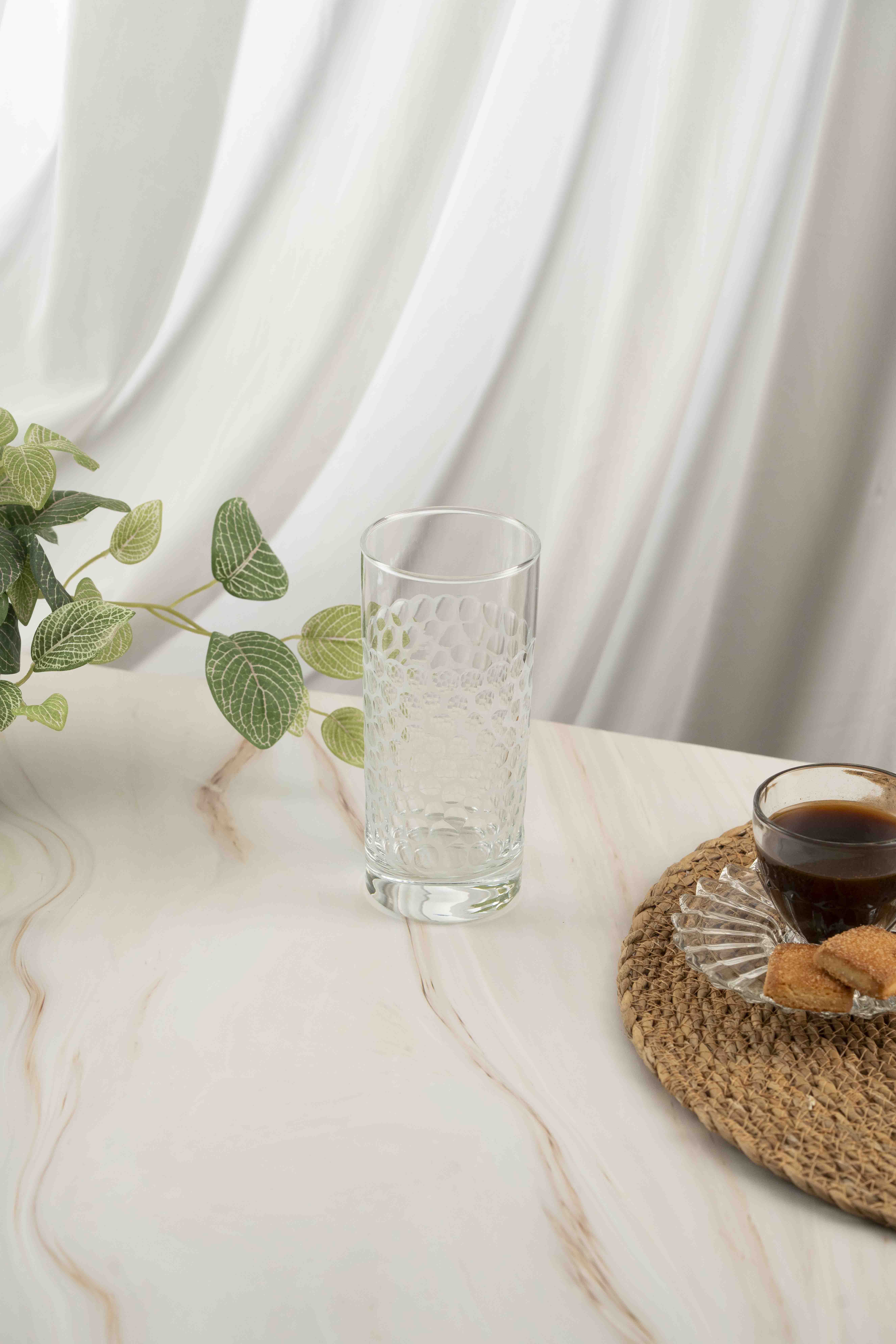 Grape Polishing Tall Water Glass 485ml